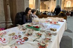 WhatsApp-Image-2024-12-17-a-08.47.23_9ea09f62