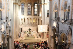 48741544118_3bb7202c3b_z