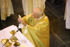 53326614892_3f35904b18_o