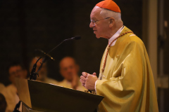 53326627897_376ce6e99f_o