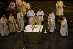 53327485231_5d313fed30_o