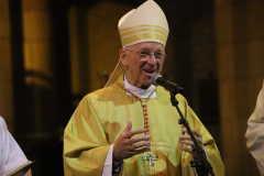 53327697218_0383761aee_o