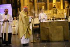 53327717063_1530b4d699_o