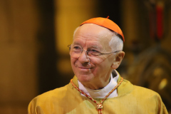 53327826054_e9d16b10ba_o