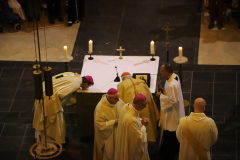 53327852309_df96ed5c62_o