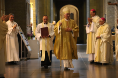 53327928635_b5c6aa5bf2_o