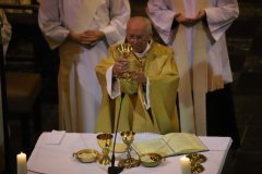 53327943805_8d208cfeda_o