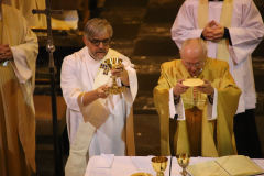 53327948885_741c0967c3_o