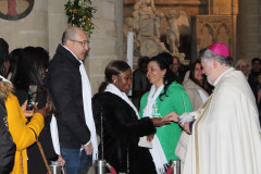 52822206723_ae773d824d_c