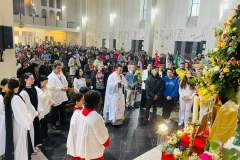 FB_IMG_1665512228442