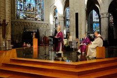 52715017974_67e4ed3ef0_c