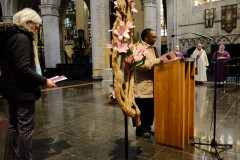 52715197470_b56fff3632_c