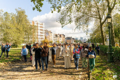 53212391053_7455396019_c