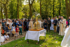 53212470379_6e389c511a_c