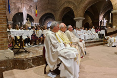 53228460129_e0025dd58a_c