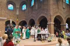 52383327669_a8a74f9811_c