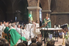 52383439335_60451a5ebf_c