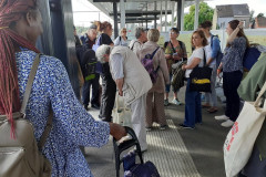 53054322491_9a6eb51b62_c