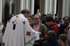 53754777319_a90905b085_o