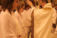 52035263376_37d5bc97c7_c