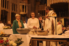 52035516334_4ed3eabe96_c