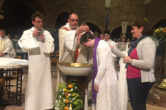 52033193813_5c28864bf9_z