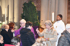 52541687636_40608e5816_c