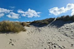 52718014433_26d72656f3_c