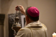 53181128308_027a486421_c