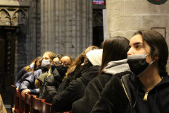 51853780741_819b235630_c