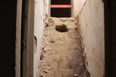 51924957507_b62f24940e_c