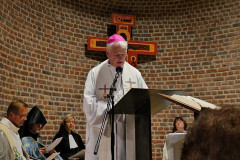 53215075790_7775baaf8f_c