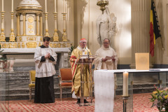 52528331027_595bd56ed7_c