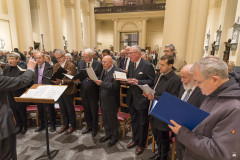 52529340523_7b9fbb6aac_c