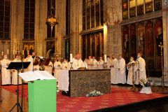 51635034903_555e7820a9_c