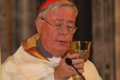 51635036698_ddcc1e99a9_c