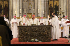 51635673000_c614278651_c