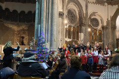 52563096209_ee4ca56bc1_c