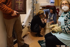 51887103444_be7bcf663c_w