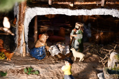 52543966646_22d06e5673_c