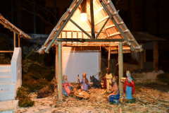 52544512423_0d7222f084_c