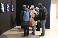 53517081654_8fd78f7a7d_c