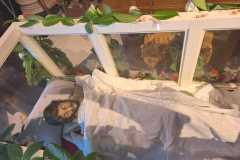 WhatsApp-Image-2024-03-29-a-21.13.50_f8b02851