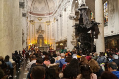 52382121767_7c5ab44bf1_c