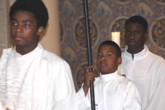 53017794841_d45ca3bc02_c