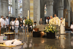 53637667056_a38d9431a5_o