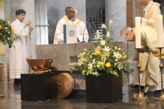 53637914203_7bf6ba7cc3_o