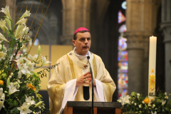 53638020404_4617d4e980_o