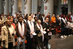 53638132045_e6ea04dd22_o