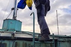 51903081866_24cf6a992e_c